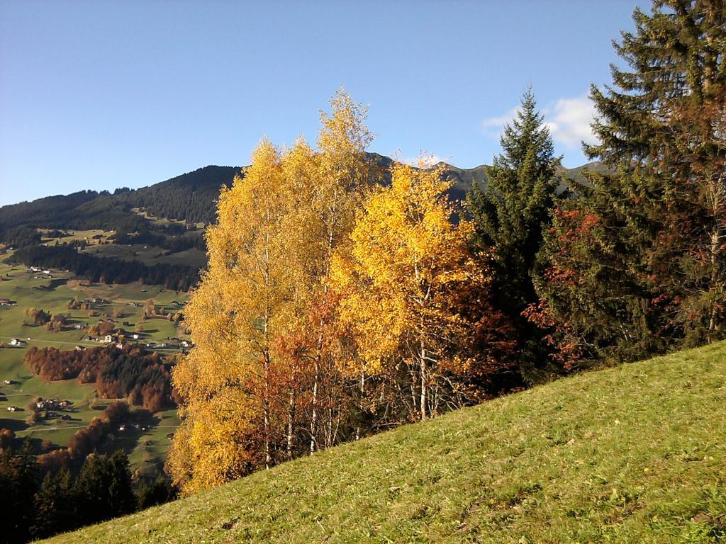 Sonnenhaus Sander Шрунс Екстер'єр фото